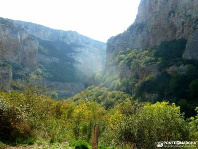 Selva Irati-Pirineo Navarro-Puente del Pilar; consejos senderismo para principiantes equipación par